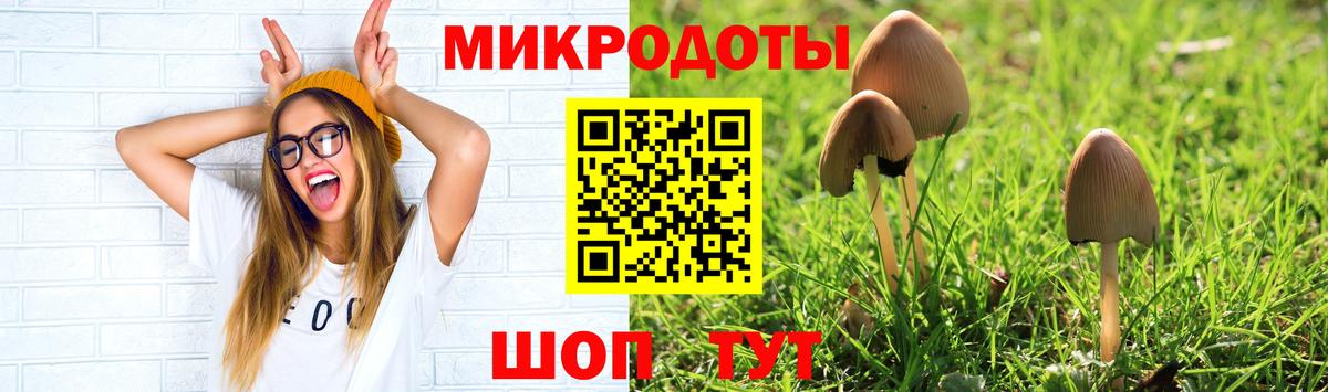 Псилоцибиновые грибы мицелий  Псилоцибиновые грибы GOLDEN TEACHER  Вход с VPN  Старая Купавна 